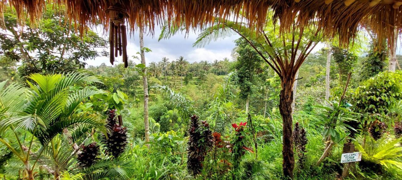 Second Home Bungalows Tetebatu Esterno foto
